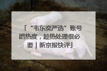 “韦东奕严选”账号蹭热度，趁热处理很必要｜新京报快评