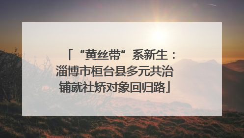 “黄丝带”系新生：淄博市桓台县多元共治铺就社矫对象回归路
