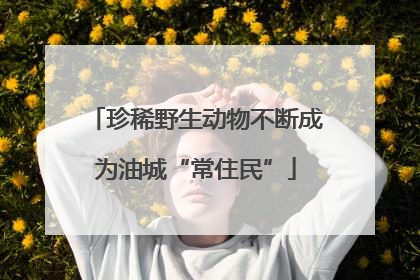 珍稀野生动物不断成为油城“常住民”