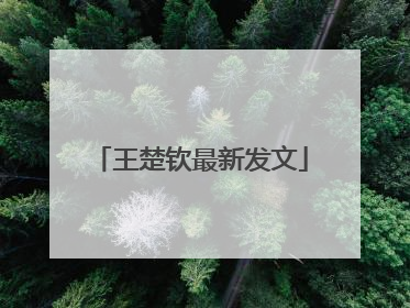 王楚钦最新发文