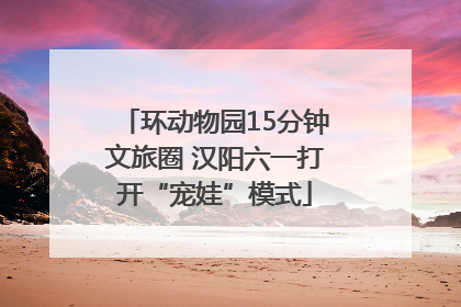 环动物园15分钟文旅圈 汉阳六一打开“宠娃”模式