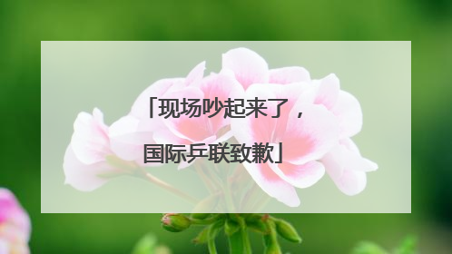 现场吵起来了，国际乒联致歉