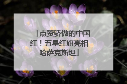点赞骄傲的中国红！五星红旗亮相哈萨克斯坦