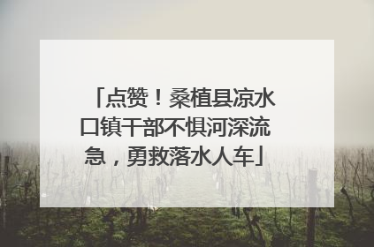 点赞！桑植县凉水口镇干部不惧河深流急，勇救落水人车