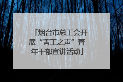 烟台市总工会开展“菁工之声”青年干部宣讲活动