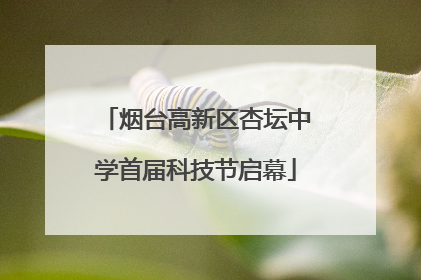 烟台高新区杏坛中学首届科技节启幕