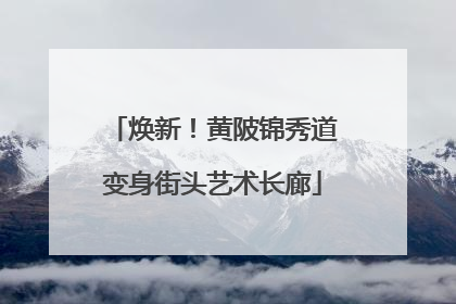 焕新！黄陂锦秀道变身街头艺术长廊