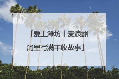 爱上潍坊丨麦浪翻涌里写满丰收故事