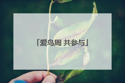 爱鸟周 共参与