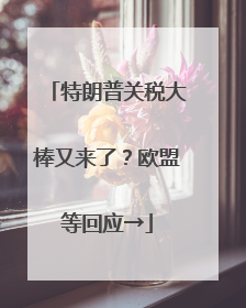 特朗普关税大棒又来了？欧盟等回应→