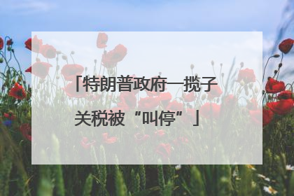 特朗普政府一揽子关税被“叫停”