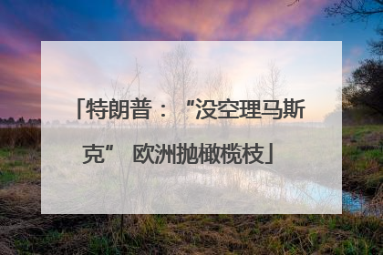 特朗普：“没空理马斯克” 欧洲抛橄榄枝
