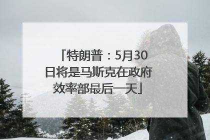 特朗普：5月30日将是马斯克在政府效率部最后一天