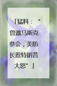 猛料：“曾邀马斯克参会，美防长惹特朗普大怒”