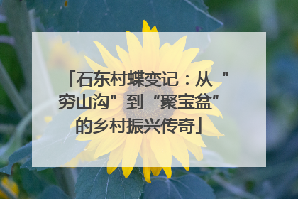 石东村蝶变记：从“穷山沟”到“聚宝盆”的乡村振兴传奇