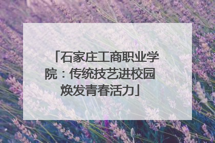 石家庄工商职业学院：传统技艺进校园焕发青春活力