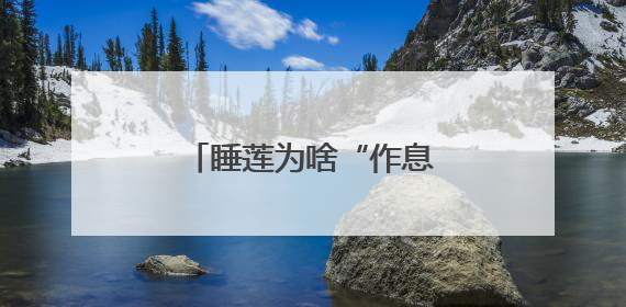 睡莲为啥“作息”这么规律？