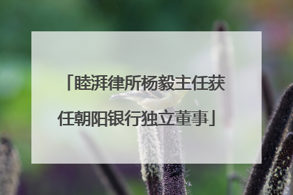 睦湃律所杨毅主任获任朝阳银行独立董事