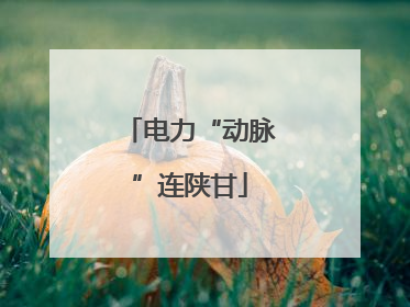 电力“动脉”连陕甘