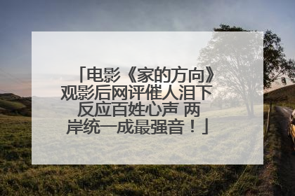电影《家的方向》观影后网评催人泪下 反应百姓心声 两岸统一成最强音！