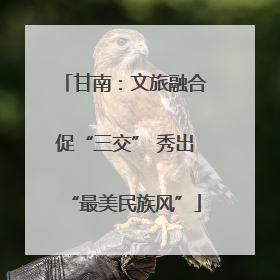 甘南：文旅融合促“三交” 秀出“最美民族风”