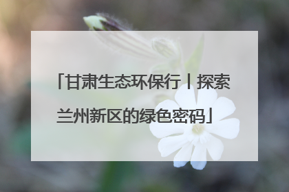 甘肃生态环保行丨探索兰州新区的绿色密码