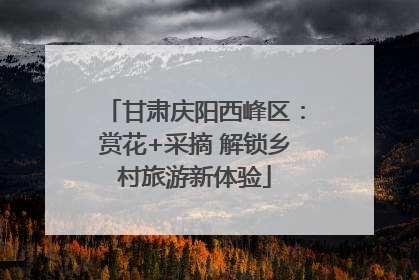 甘肃庆阳西峰区：赏花+采摘 解锁乡村旅游新体验