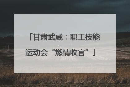 甘肃武威：职工技能运动会“燃情收官”