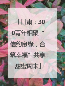甘肃：300青年相聚“信约良缘，合筑幸福”共享甜蜜周末