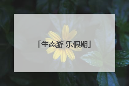 生态游 乐假期