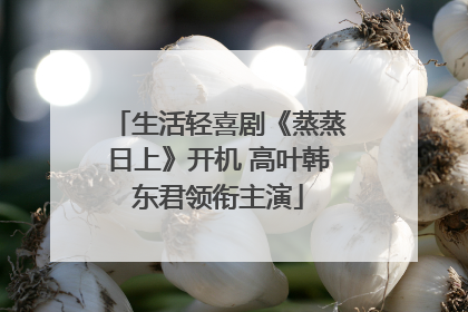 生活轻喜剧《蒸蒸日上》开机 高叶韩东君领衔主演