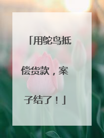 用鸵鸟抵偿货款，案子结了！