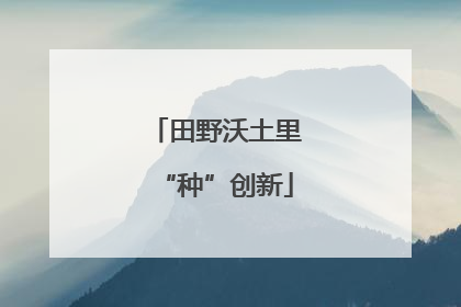 田野沃土里“种”创新
