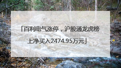 百利电气涨停，沪股通龙虎榜上净买入2474.95万元