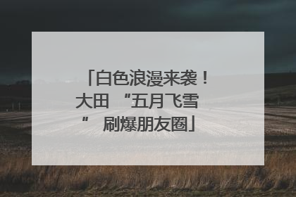 白色浪漫来袭！大田 “五月飞雪” 刷爆朋友圈