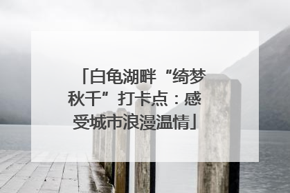 白龟湖畔“绮梦秋千”打卡点：感受城市浪漫温情