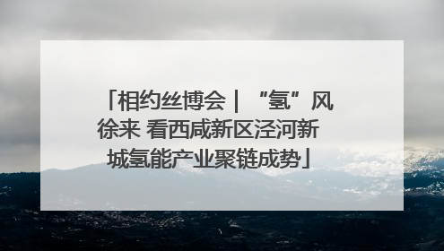 相约丝博会｜“氢”风徐来 看西咸新区泾河新城氢能产业聚链成势