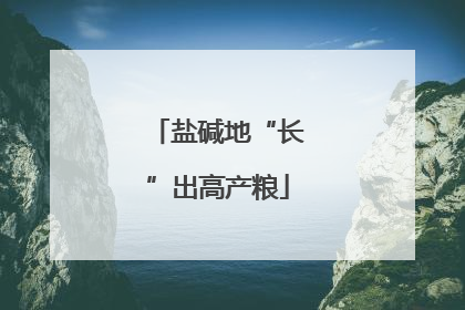 盐碱地“长”出高产粮