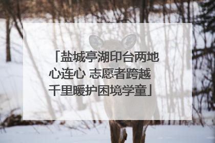 盐城亭湖印台两地心连心 志愿者跨越千里暖护困境学童