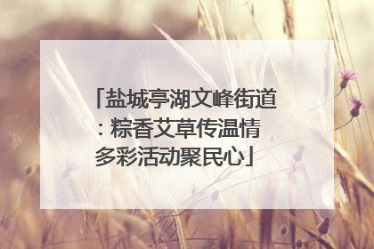 盐城亭湖文峰街道：粽香艾草传温情 多彩活动聚民心