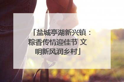 盐城亭湖新兴镇：粽香传情迎佳节 文明新风润乡村