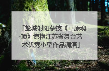 盐城射阳杂技《草原魂·顶》惊艳江苏省舞台艺术优秀小型作品调演