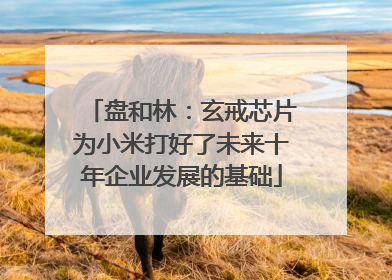 盘和林：玄戒芯片为小米打好了未来十年企业发展的基础