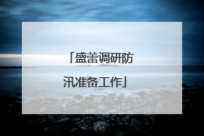 盛蕾调研防汛准备工作