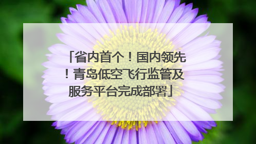 省内首个！国内领先！青岛低空飞行监管及服务平台完成部署