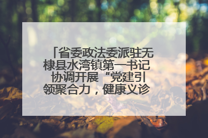 省委政法委派驻无棣县水湾镇第一书记 协调开展“党建引领聚合力，健康义诊惠乡亲”义诊活动