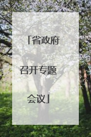 省政府召开专题会议