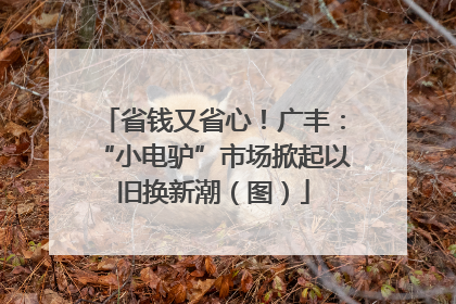 省钱又省心！广丰：“小电驴”市场掀起以旧换新潮（图）