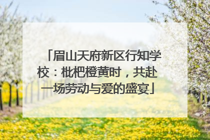 眉山天府新区行知学校：枇杷橙黄时，共赴一场劳动与爱的盛宴