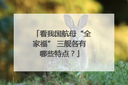 看我国航母“全家福” 三舰各有哪些特点？